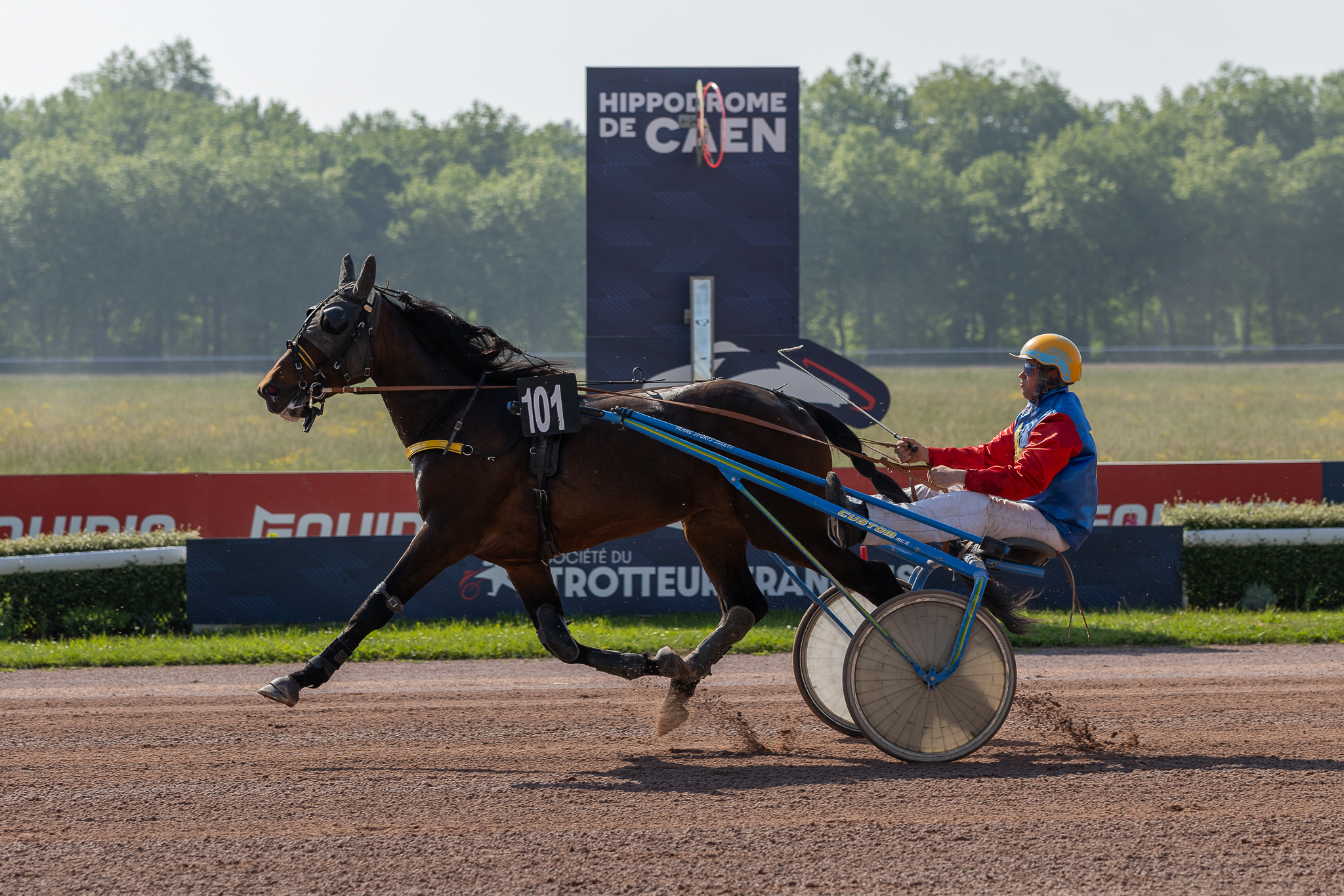 My Winner Rush